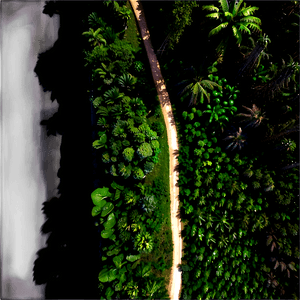 Forest Loss Impact PNG frv56 PNG