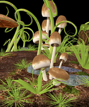 Forest_ Mushrooms_ Digital_ Rendering PNG with transparent background