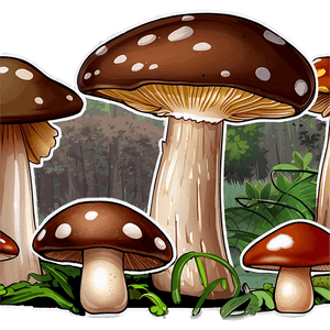 Forest Mushrooms PNG dfo30 PNG image with transparent background
