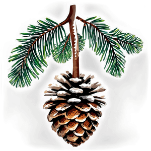 Forest Pine Cone PNG 06202024 PNG