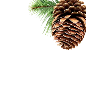 Forest Pinecone Artwork Png 06132024 PNG Image