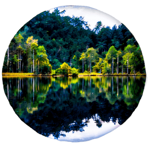 Forest Reflection PNG jxe PNG