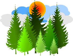Pine Trees Clip Art, HD Png Download PNG with transparent background
