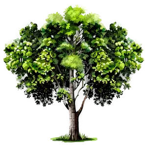 Forest Tree Elevation Png Bye PNG Image