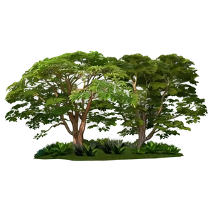 Forest Tree Top Panorama Png Tye PNG Image