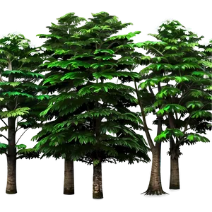 Forest Trees B PNG Image