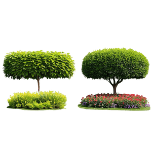Formal Garden Shrubs PNG tpy PNG