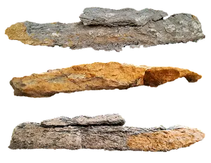 Fossilized Wood Specimens PNG Image