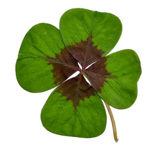 Four Leaf Clover Green Background PNG Image