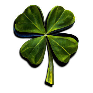Four Leaf Clover PNG oem PNG