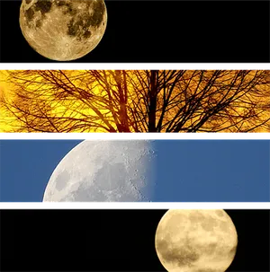 Four Moon Phases Collage PNG Image