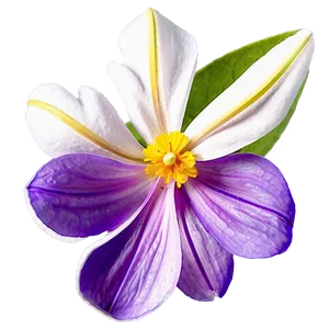 Fragrant Spring Flower Png Cin PNG Image