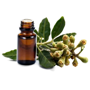 Frankincense Essential Oil Png Beq PNG Image