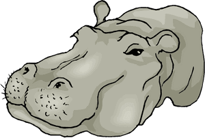 Free Hippo Clipart - Hippo Head Png, Transparent Png PNG image with transparent background