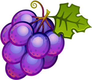 Free Png Large Painted Grapes Png - Grape Clipart, Transparent Png PNG image with transparent background