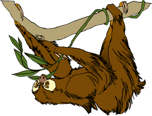 Free Sloth Clipart - Transparent Sloth Clipart, HD Png Download PNG image with transparent background