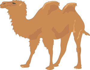 Free Vector Camel - Camel Clip Art Png, Transparent Png PNG image with transparent background