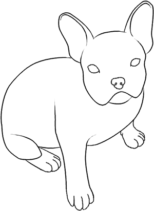 French Bulldog Line Drawing PNG image with transparent background