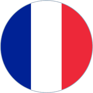 France Flag Round Medium - France Flag Dream League Soccer, HD Png Download PNG with transparent background
