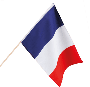 Fran Ais Tenir La - Transparent French Flag, HD Png Download PNG with transparent background
