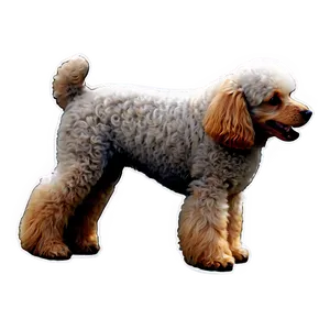 French Poodle Outline Png 06112024 PNG Image