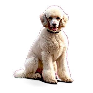 French Poodle Outline Png Ejf PNG Image