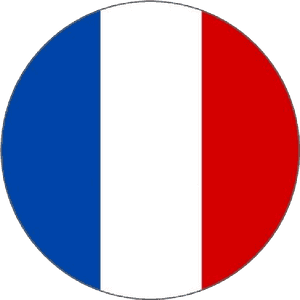 Flag Of France Language French Translation - French Flag In A Circle, HD Png Download PNG image with transparent background