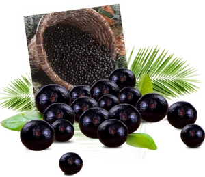 Fresh Acai Berries Display PNG Image