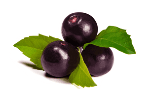 Acai-berry - Acaí Berry, HD Png Download PNG image with transparent background