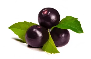 Fresh Acai Berries With Leaves PNG Image