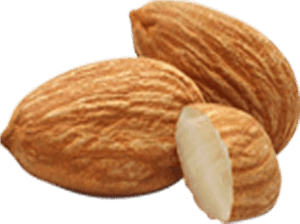 Almond Amygdalin Nut Apricot Kernel Seed - Almond Png, Transparent Png PNG with transparent background