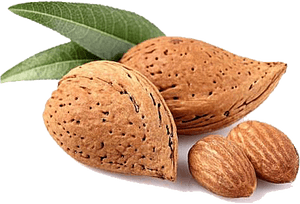 Almond Png Transparent Images - Types Of Almonds India, Png Download PNG with transparent background