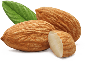 Almond Png, Transparent Png PNG with transparent background