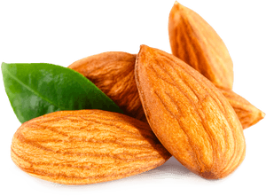 Almond, HD Png Download PNG with transparent background