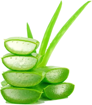 Fresh Aloe Vera Slicesand Leaves PNG Image