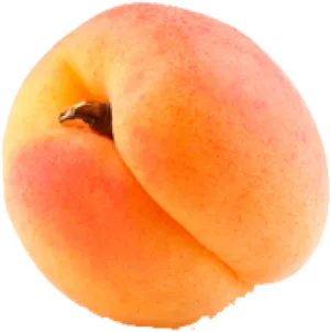 Fresh Apricot Single Fruit PNG Image