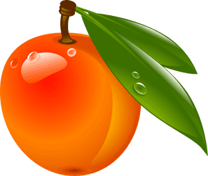 Clip Art, HD Png Download PNG with transparent background