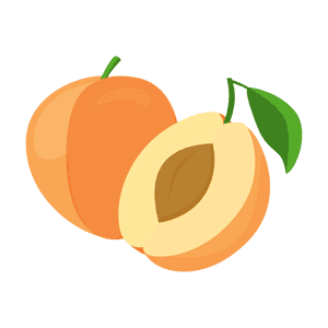 Apricot-icon - Peel, HD Png Download PNG with transparent background