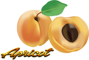 Fruit Clipart , Png Download - Fruit, Transparent Png PNG with transparent background