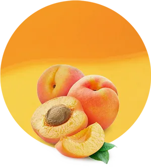 Fresh Apricots Display PNG Image