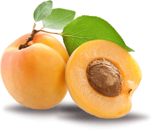 Apricot Kernel Png, Transparent Png PNG with transparent background