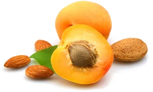 Fresh Apricotsand Almonds PNG Image