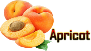 Apricot Png , Png Download - Apricot Fruit Image Png, Transparent Png PNG with transparent background