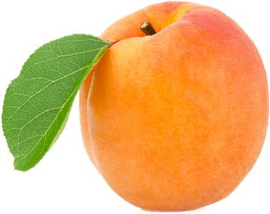 Apricot Png Image - Apricot Png, Transparent Png PNG with transparent background