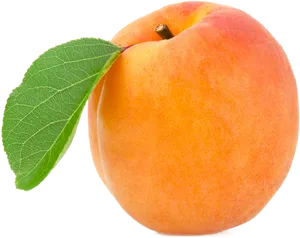 Fresh Apricotwith Leaf PNG Image