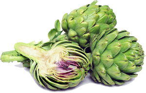 Artichokes Png Transparent Image - Artichoke Is Vegetable Or Fruit, Png Download PNG image with transparent background
