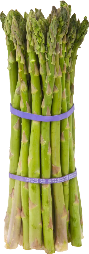 Fresh Asparagus Bundle PNG Image