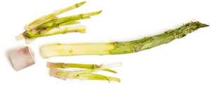 Fresh Asparagus Stalks Transparent Background PNG Image