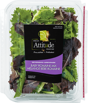 Romaine Lettuce Png, Transparent Png PNG image with transparent background