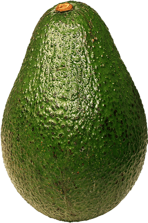 Avocado - Avocado Single, HD Png Download PNG image with transparent background